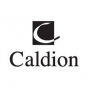 Caldion